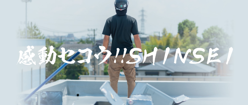 株式会社SHINSEI公式HPの画像